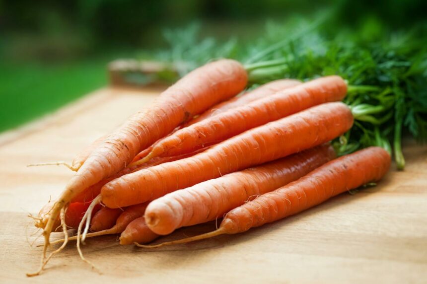 carote alla julienne