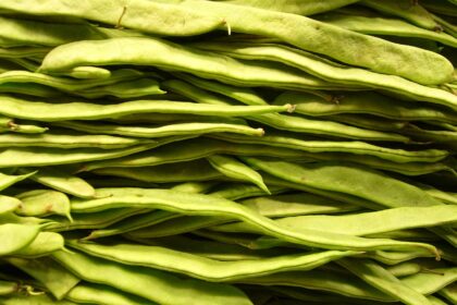 Fagiolini piattoni
